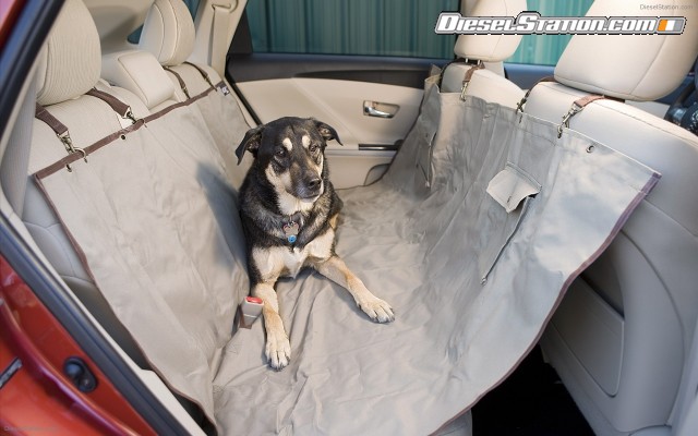 Toyota Venza 2009 Widescreen Picture #23 Toyota Venza 2009 Widescreen Picture #23